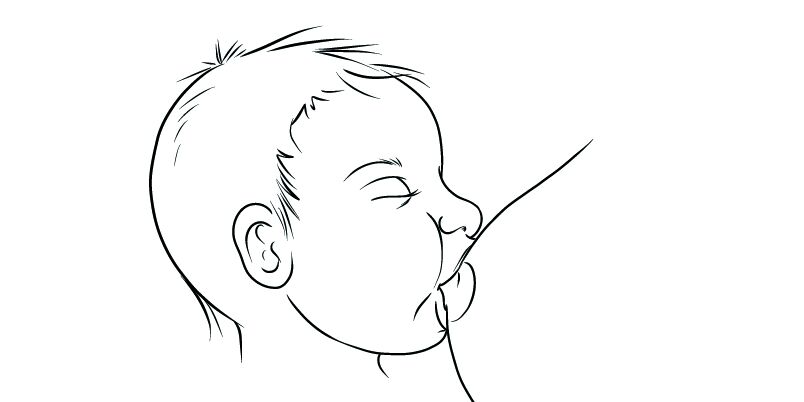 Grafik eines stillenden Babys, welches die Brustwarze der Mutter mit den Lippen überstülpt.