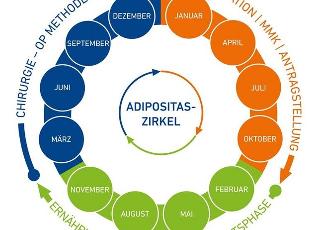 Adipositas Zirkel, welcher eine Dreiteilung über das Jahr hat. Der Zirkel bildet jeden Monat eines Jahres ab. Die Dreiteilung teilt sich Chirurgie, Motivation und Antragstellung und Ernährung, Bewegung und Flüssigkeitsphase. 